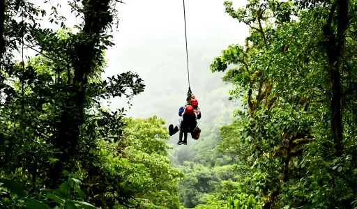 Thrilling Canopy Tours: Unleashing Zip Line Adventures in the US and Costa Rica