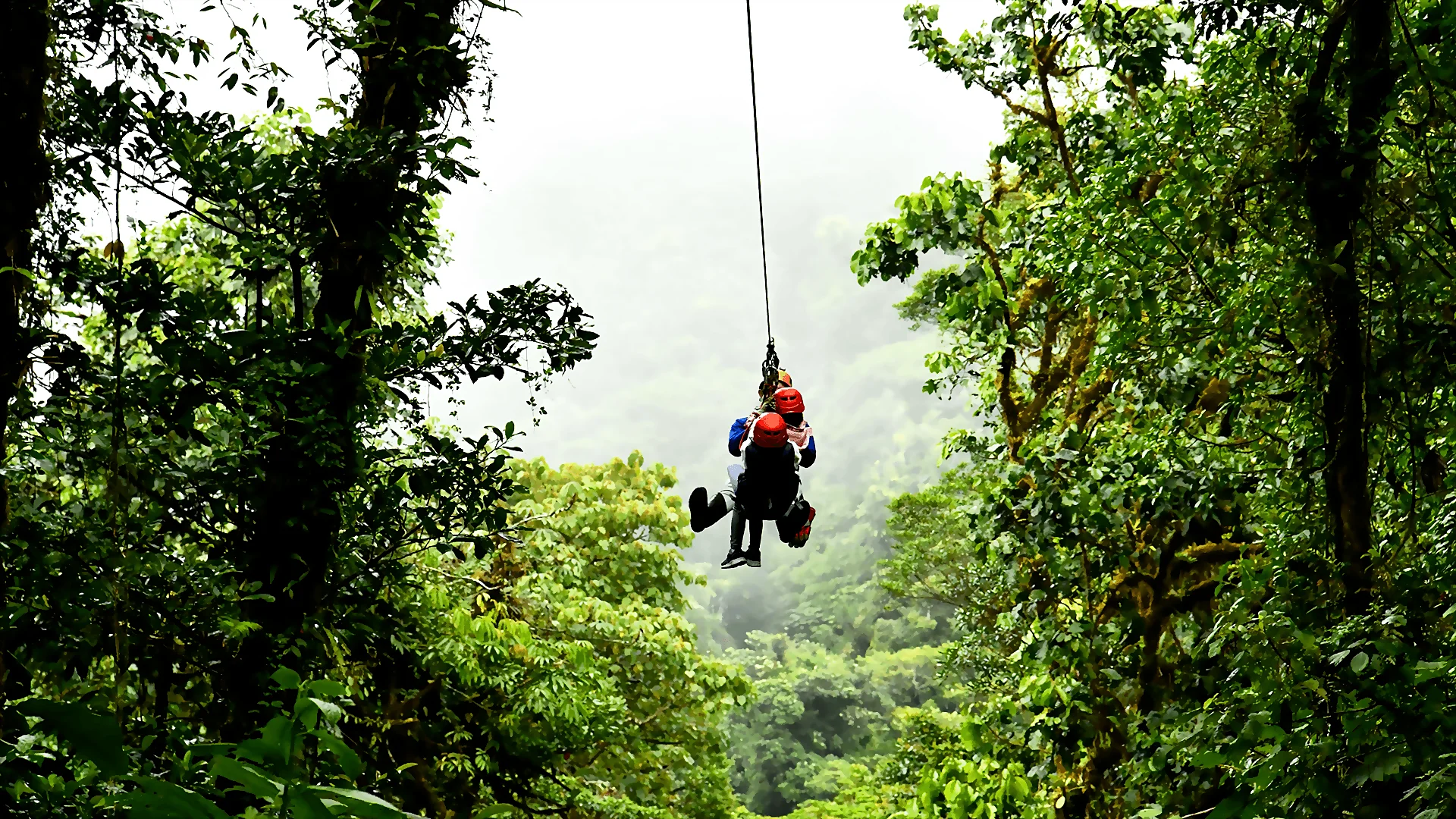Thrilling Canopy Tours: Unleashing Zip Line Adventures in the US and Costa Rica