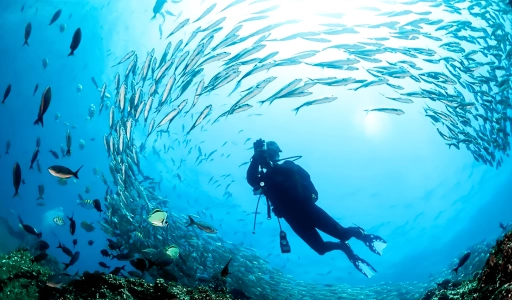 Unleashing the Wonders of Galapagos Diving: A Dive into Paradise with Best 10 Sites to Visit